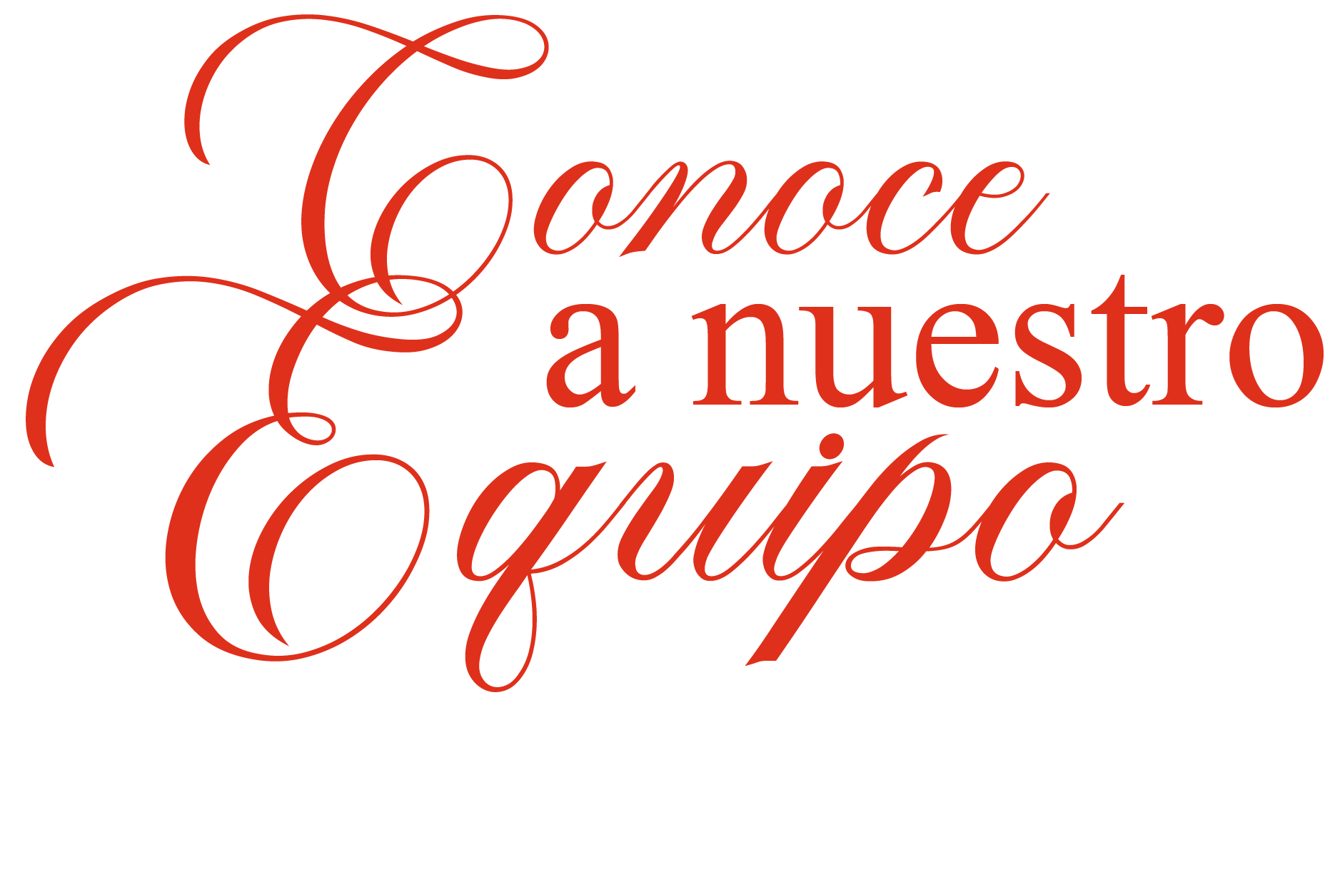 Conoce a nuestro equipo